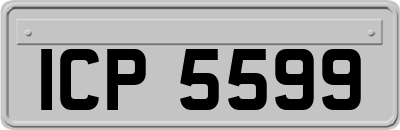 ICP5599