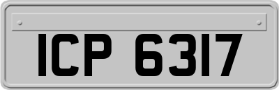 ICP6317