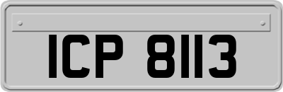 ICP8113