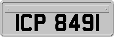 ICP8491