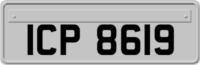 ICP8619