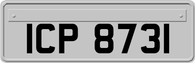 ICP8731