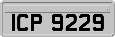 ICP9229