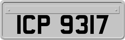 ICP9317