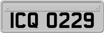 ICQ0229