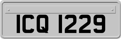 ICQ1229
