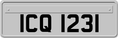 ICQ1231