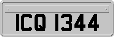 ICQ1344