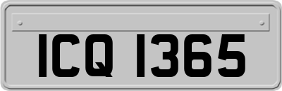 ICQ1365