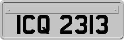 ICQ2313