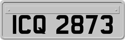ICQ2873