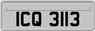 ICQ3113