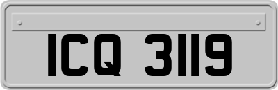 ICQ3119