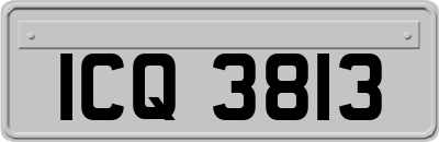 ICQ3813