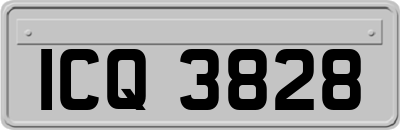 ICQ3828