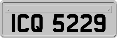 ICQ5229