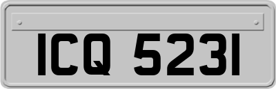 ICQ5231