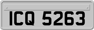 ICQ5263