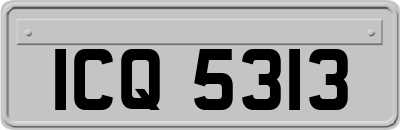 ICQ5313