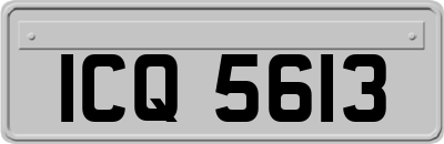 ICQ5613