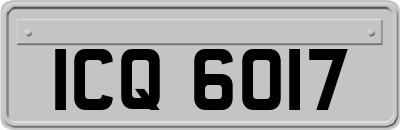 ICQ6017