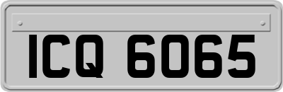 ICQ6065