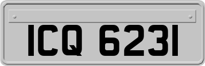 ICQ6231