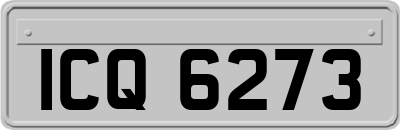 ICQ6273
