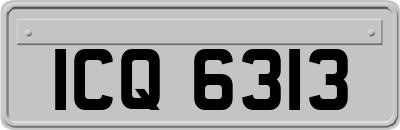 ICQ6313