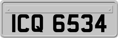 ICQ6534