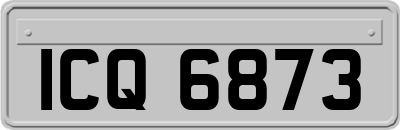 ICQ6873