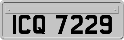 ICQ7229