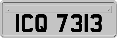 ICQ7313