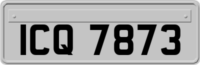 ICQ7873