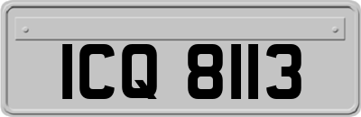 ICQ8113