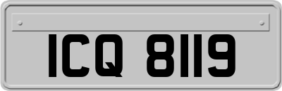 ICQ8119