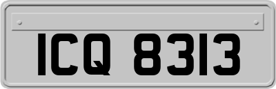 ICQ8313