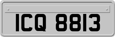 ICQ8813