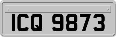 ICQ9873