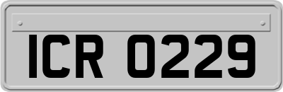 ICR0229