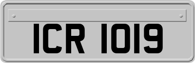 ICR1019