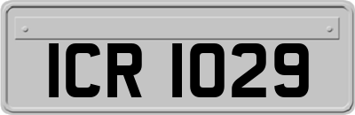 ICR1029