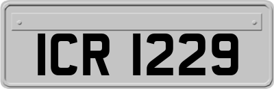 ICR1229