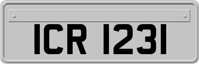ICR1231