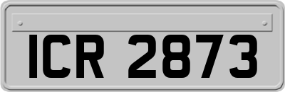 ICR2873
