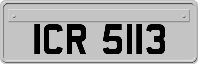 ICR5113
