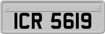 ICR5619