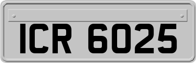 ICR6025