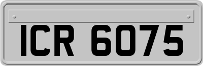 ICR6075