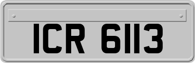 ICR6113